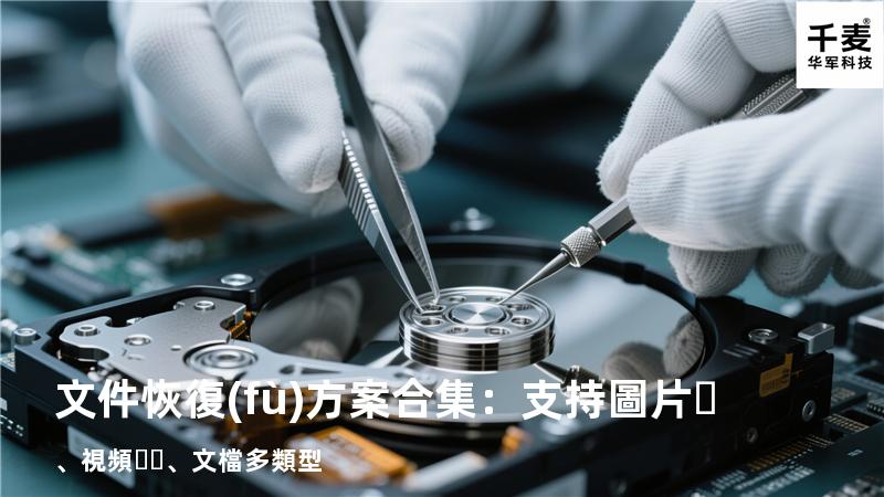 文件恢復(fù)方案合集：支持圖片、視頻、文檔多類型 
